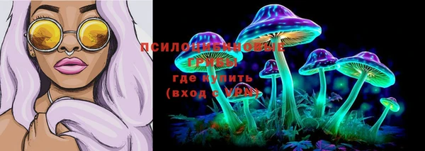 ECSTASY Алзамай