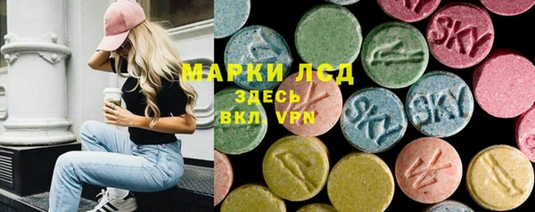 ECSTASY Алзамай